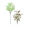 FLOR IPHEION