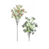 FLOR IPHEION