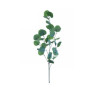 FLOR RAMA EUCALYPTUS