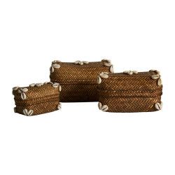CAJA J/3 CARACOLAS