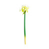 VICAL HOME / FLOR AMARYLLIS