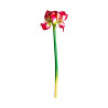 VICAL HOME / FLOR AMARYLLIS