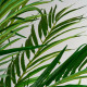 PLANTA PALMERA EN COLOR VERDE DE ESTILO COLONIAL