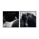 LIENZO SET 2 HORSE MATERIAL LIENZO IMPRESO