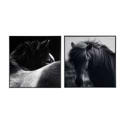 LIENZO SET 2 HORSE MATERIAL LIENZO IMPRESO