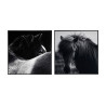 LIENZO SET 2 HORSE MATERIAL LIENZO IMPRESO
