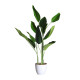 PLANTA MATERIAL PLASTICO