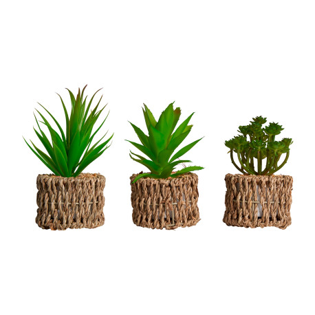 PLANTA SURT 3 MATERIAL PLASTICO