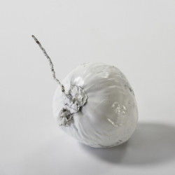 COCO 20 cm aprox. BLANCO