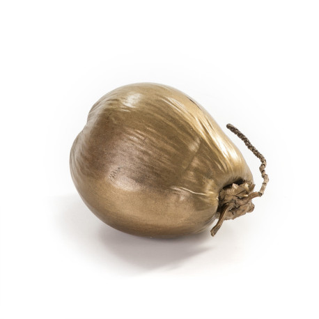 COCO 20 cm aprox. DORADO