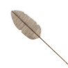 ESCULTURA 32x3x200 HOJA JACINTO DE AGUA NATURAL/BAMBU NATURAL