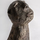 BUSTO BLASSE