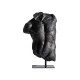 BUSTO ZEUS