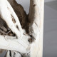 ESCULTURA